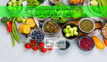 المادة المغذية هي مادة ضرورية للكائن الحي، للقيام بوظائفه الحيوية