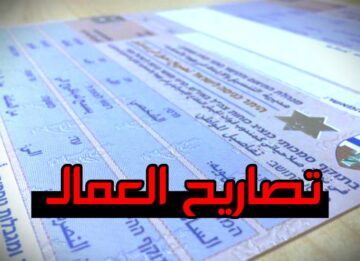 رابط فحص التصاريح بالألوان 2023 من وزارة العمل بغزة