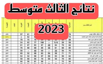 كم نسبة النجاح الثالث متوسط 2023 العراق