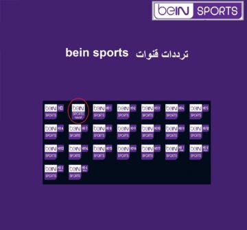 تردد قنوات بي ان سبورت Bein sport HD مجدد 2023 وكيفية الاشتراك